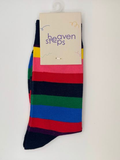Spectrum Stripe Socks