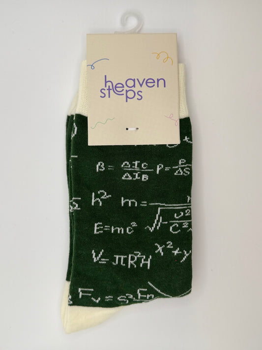 Math Genius Socks